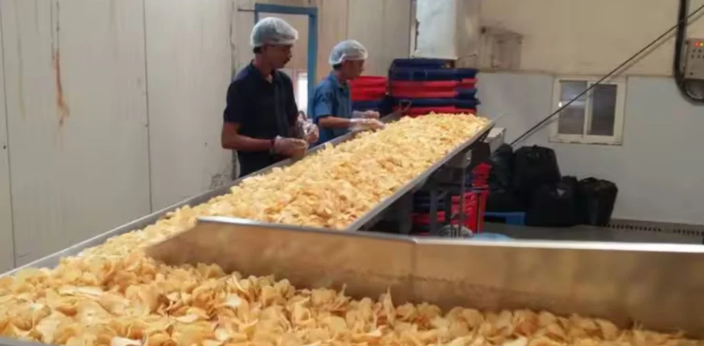 Manufacturing Business Ideas - Handmade Snacks (Namkeen, Chips) Manufacturing