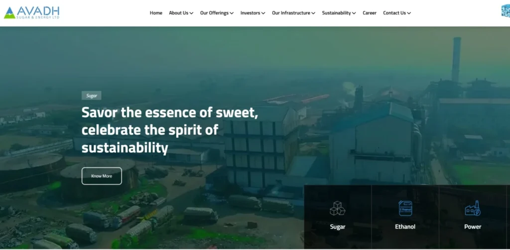 Ethanol Manufacturing Companies - Avadh Sugar & Energy Ltd