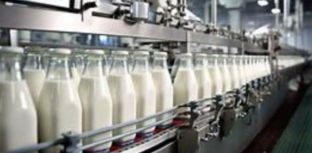Manufacturing Business Ideas - Dairy Products Processing
