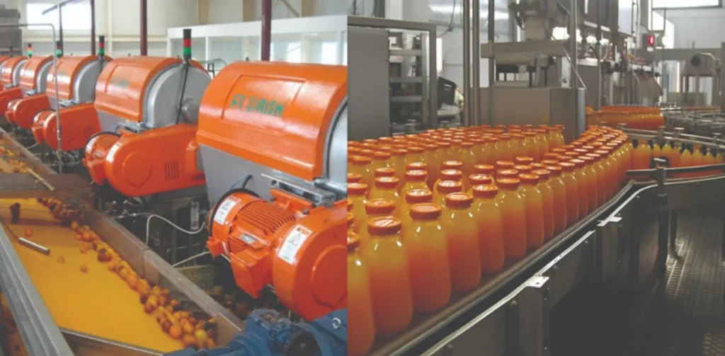 Manufacturing Business Ideas - Fruit Pulp and Juice Processing