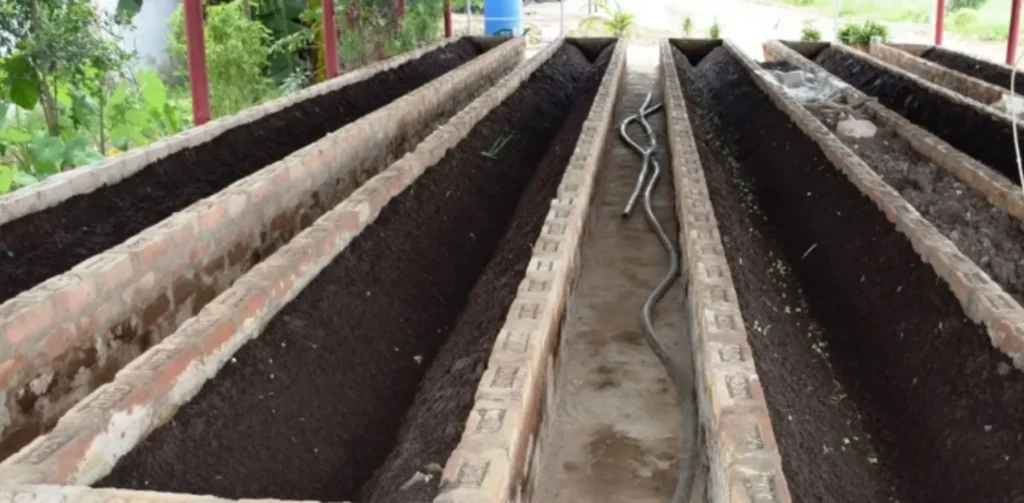 Manufacturing Business Ideas - Organic Fertilizer (Vermicompost) Manufacturing