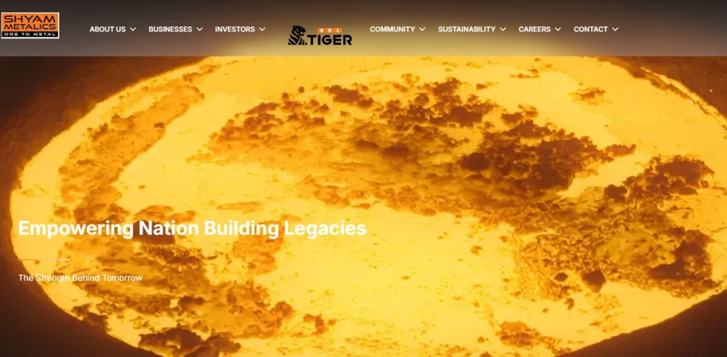Steel Companies in India - Shyam Metalics and Energy Limited