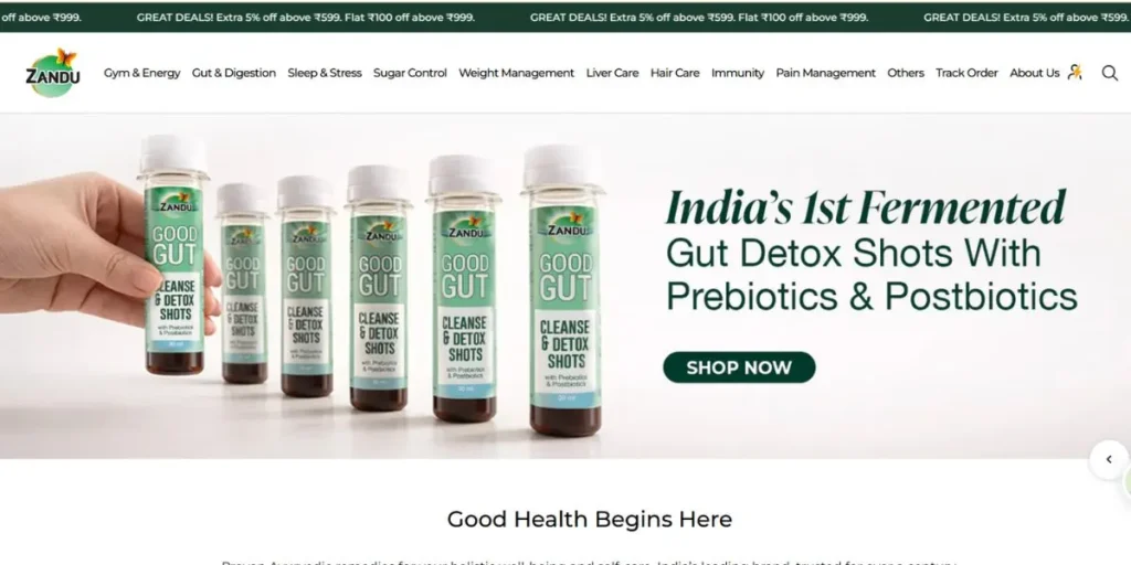 Zandu Care (Emami Group) - Ayurvedic Companies in India