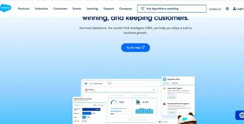 AI Live Chat Automation Tools - Salesforce Agentforce Service