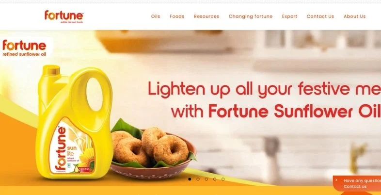 Manufacturing Companies in Lucknow - Fortune Foods
