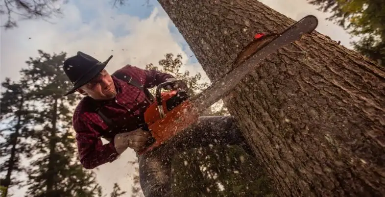 Most Dangerous Jobs in America - Logging Workers